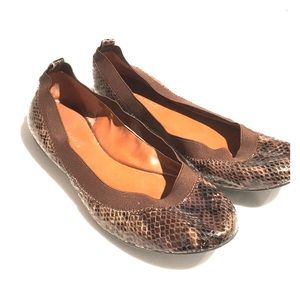 Alligator ballet slippers